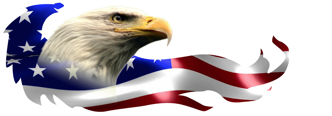 Liberty DME - Eagle and American Flag Logo - Durable Medical Equipment and Respiratory Therapy Services in the Rio Grande Valley